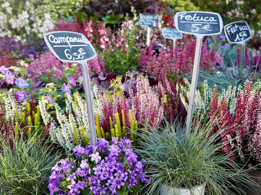 A vibrant display of mixed flowering plants in a nursery or flower market setting, featuring purple petunias with trumpet-shaped blooms in the foreground, surrounded by tall clusters of pink and white